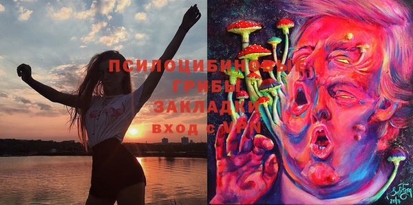 прущий лед Алексеевка