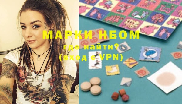 индика Ростов
