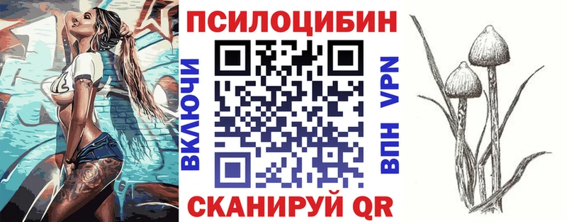 Псилоцибиновые грибы Psilocybe  Шебекино 