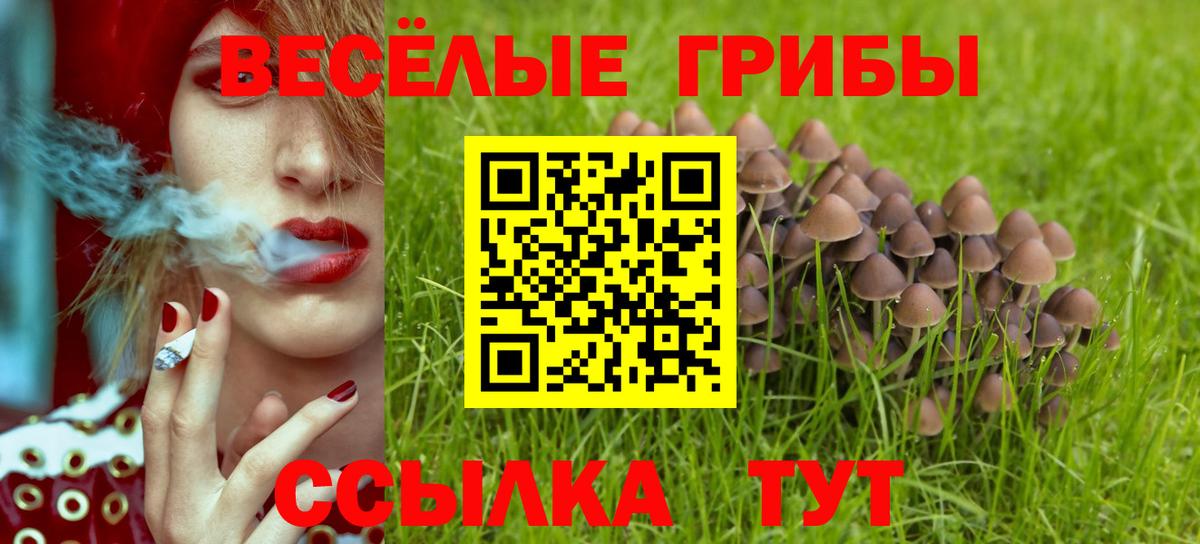 Галлюциногенные грибы Cubensis Шебекино