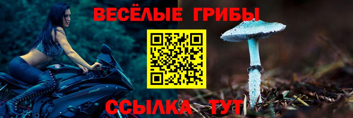 Галлюциногенные грибы GOLDEN TEACHER  Вход с VPN  Шебекино 