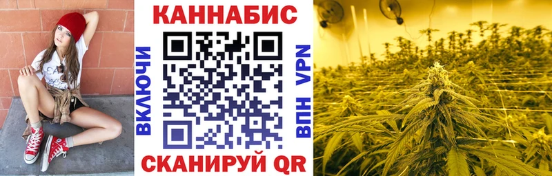 Конопля AK-47  Шебекино 